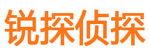 防城市私家侦探